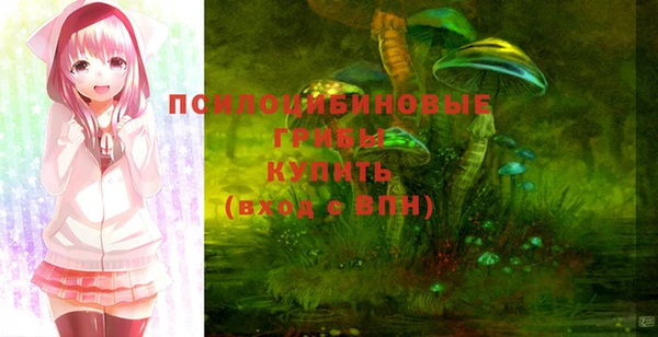 кокс Аркадак