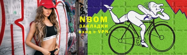 стафф Арсеньев