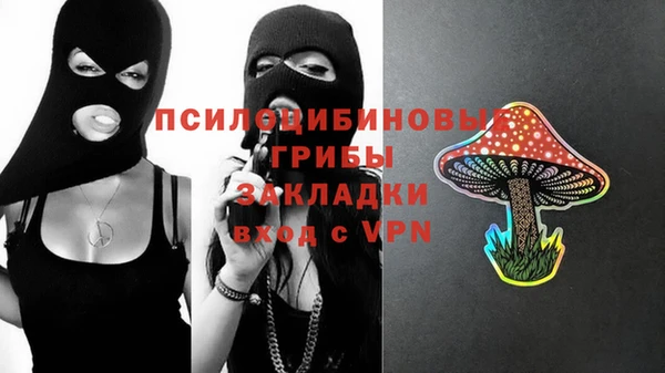 кокс Аркадак