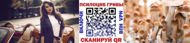 Галлюциногенные грибы Psilocybe Нытва