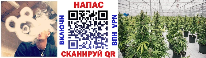 сколько стоит Нытва MEGA маркетплейс Каннабис ГИДРОПОН